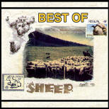 BEST OF SHEEP